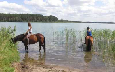 Wiele - Obóz konny OKW Beaver, 10 dni 13-17 lat